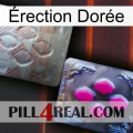 Érection Dorée 38